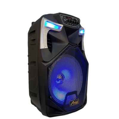 China Amaz OEM 12 Inch Big Loud-Bass Wireless Portable Trolley Speaker Wireless BT Cabinet For Outdoor Use for sale