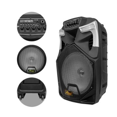 China No OEM Party Rechargeable Speakers Portable 12 Inch Trolley Speaker for sale