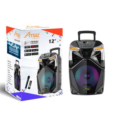 China Amaz Wireless Factory 12 Inch Portable Wireless BT Trolley Speaker For Party for sale