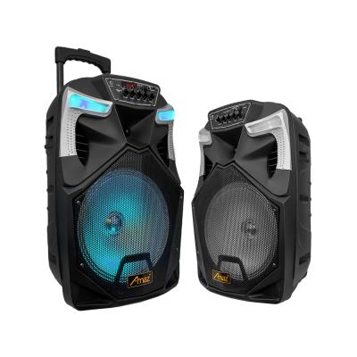 China None Amaz Factory 12 Inch Portable Trolley Speaker BT Wireless Speaker For Outdoor Activities for sale