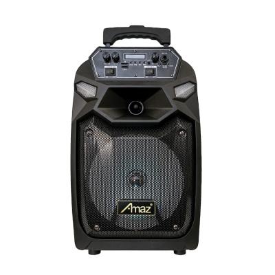 China No AMAZ OEM Speaker Manufacturer Private Model 8 Inch Trolley Speaker With Led Light for sale