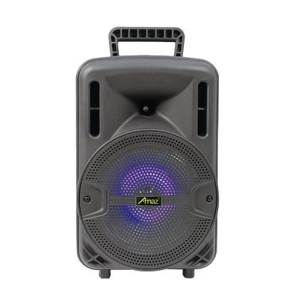 China Active Wireless Disco Light AL0827 BT Party Speaker Woofer BTS OEM 8inch Portable Outdoor Speaker for sale