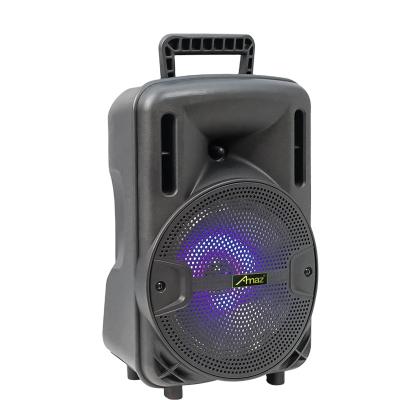 China Amaz AL0827 Wireless Active Party Speaker Outdoor Trolley 8 Inch Speaker With Led Light for sale