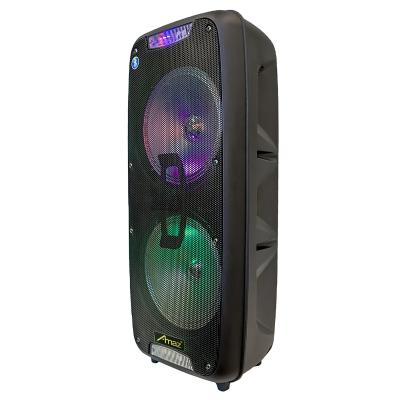 China No speaker factory direct sales double 8 inch trolley speaker OEM speaker manufacturer for sale