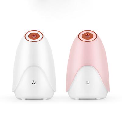 China Mini Ionic Facial Steamer Nano Mist Sprayer Hot And Cold Moisturizer Hot Sale Wholesale Mini Ionic Facial Steamer Professional for sale