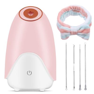 China Custom Hot and Cold Hot and Cold Facial Steamer Atomizer Humidifier Facial Moisturizer Home Spa Portable Facial Steamer for sale