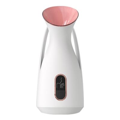 China Multifunctional Mister Mist Sprayer Ionic Nano Skin Renewal Moisturizer Skin Care Face Steam Machine Sauna Facial Steamer for sale