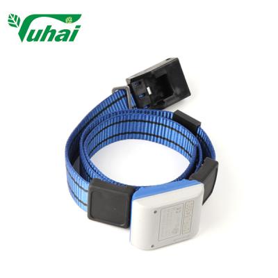 China Rears Plastic Cow Collar Step Belt Provides Animals Walk Data Animal Woven Belt for sale