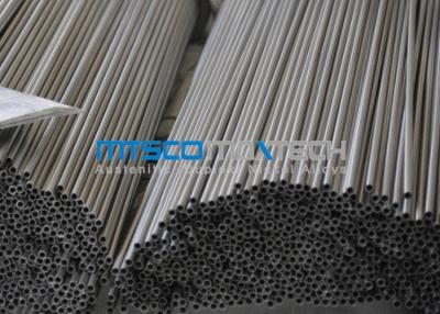 China ASTM A213 EN10216-5 tubo de aço inoxidável do recozimento D4/T3 do TC 1, tubulação estirada a frio à venda