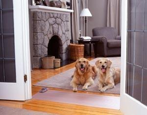 Chine Nettoyez le tapis de formation d'animal familier de santé inoffensif au tapis de libération rapide d'animaux familiers à vendre