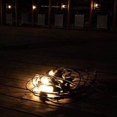 China Hot Selling LED String Light Party Outdoor Home Decoration Lighting Hanging E27 S14 LED Bulb String Light for sale