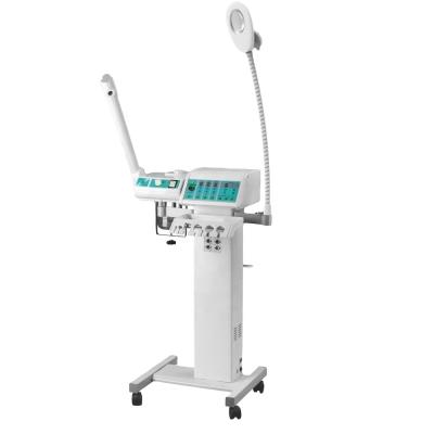 China Facelift 9 in 1 beauty instrument WL-B208 for sale