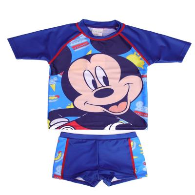 China Cute Kids Boys Swimwear Rashguard Anti-UV Set for sale