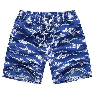 China Boys Sublimated Anti-UV Anti-UV PDO Print Kids Boardshort for sale