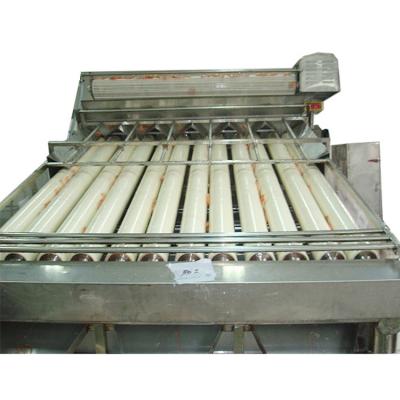 China 2000kg/h 18 Rollers Shrimp grading machine shrimp sorter machine for sale