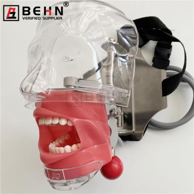 China Fix On Chair BEHN Dental Manikin Phantom Head Model For Training Oral Practice Dental School Phantom Head Simulator for sale