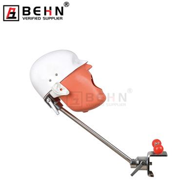 China Fix on Dental Manikin Chair BEHN Dental Manikin Top Mount Manikin Dental Phantom Head with Torso for sale