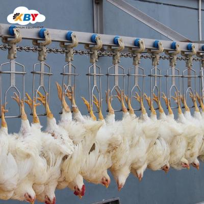 China POULTRY Slaughterhouse Duck Chicken Washing Machine Abattoir Slaughtering Line-Tools for sale