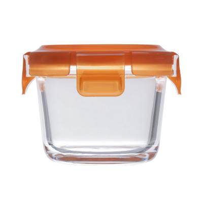 China Contemporary Glass Freezers Kids Lunch Box Baby Food Container Fridges for sale