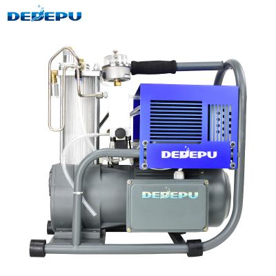 China free shipping silicon mouse220V 50HZ 0.9KW DEDEPPU electric high pressure compressor continuous operation high pressure air PLUS pump for sale