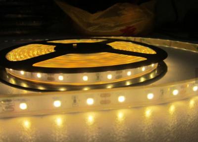 China Red Green Blue Yellow  Waterproof LED Strip Lights Outdoor High Intensity CE ROSH Certificated for sale