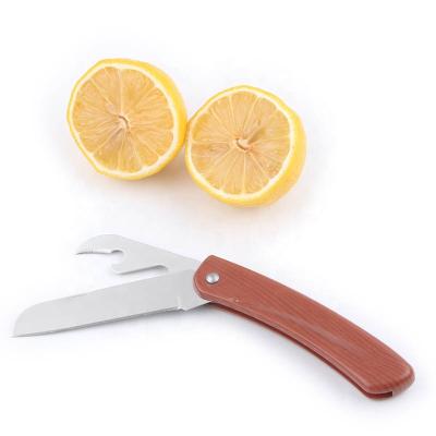 China High Quality Modern Stainless Steel Kitchen Knife Fruit Folding Multifunctional Knife for sale