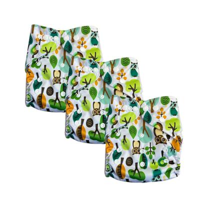 China Eco-Friendly Reusable Baby Diaper Printed Baby Swimwear Adjustable Swim Pants for sale