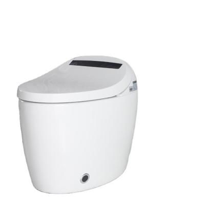 China China Bathroom WC Automatic Operation Chinese Electronic Toilet Bidet Smart Girl Toilet Price for sale