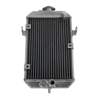 China Yam Raptor 660 engine cooling radiator 01 05 high quality from china for sale