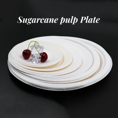 Cina Stati Uniti Biodegradabile Canne da zucchero Bagasse Piatto di stoviglie Carry-out Tavola Multi Color in vendita