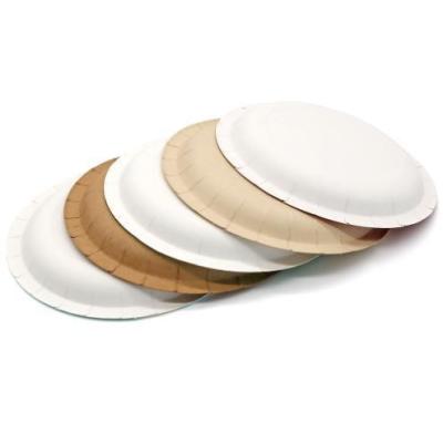 China Convenient Disposable Plate for Happy Birthday Supplies Eco-Friendly and Easy Cleanup for sale