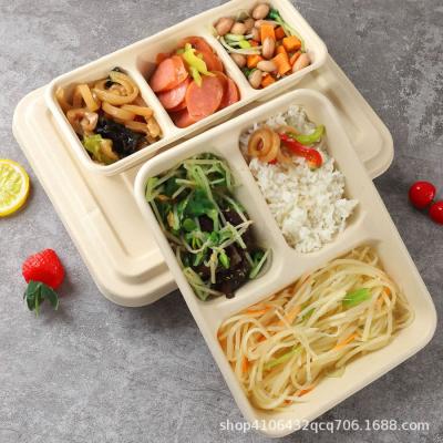 China 100% Compostable Disposable Take out 3 Compartment Square Food Paper Containers Made for sale