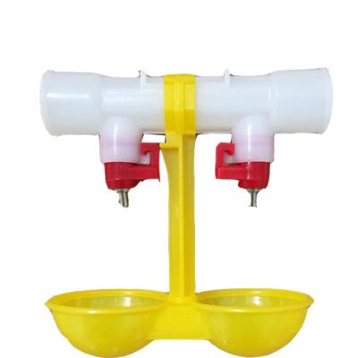 China Automatic Farms Chicken Farm Poultry Water Drinker With Double Cup G3/4