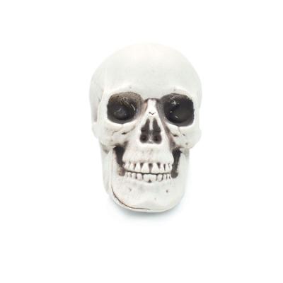 China Artificial Skeleton Head Halloween Decorations Adult Size Human Skull 7# Plastic Skull Head for sale