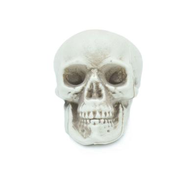 China Artificial Halloween Decoration Small Plastic Skull Head Adult Skeleton Skull 9# Plastic Skull Head for sale