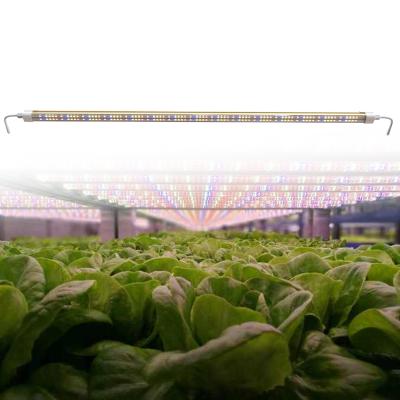 China Seed Starting Plant Sale Various Indoor Plant Widely Used Growing Systems Led Grow Light Tube for sale