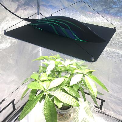 China Seed Starting Full Spectrum Medicinal Plant Sunlight Board Pvisung Quantum LED Plant Hydroponic Light for sale