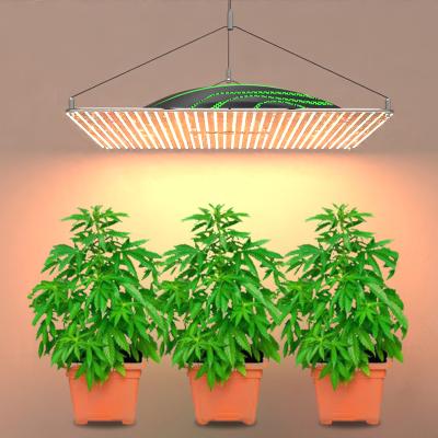 China Seed Starting Growing Vegetables Blue Tooth Dimming Quantum Full Spectrum Crop 2021 320 Watt Led To Grow for sale