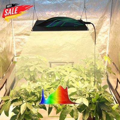 China Seed Starting Samsung LM301H 320w Hydroponic Indoor LED Plant Full Spectrum LED Grow Lights for sale