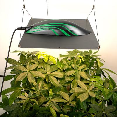 China Seed Starting Seedlings Led Grow Led Panel To Grow Par Light Samsung Panel Diode Quantum B Samsung lm301h for sale