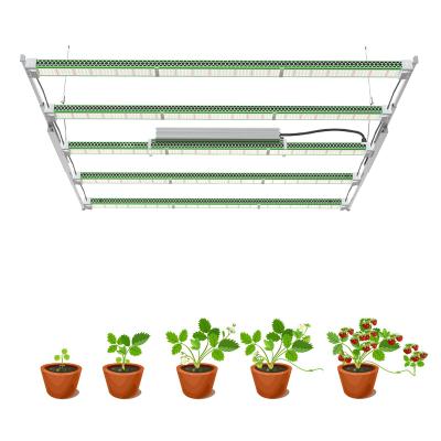 China Seed Seed Growing Dimmable Full Spectrum Greenhouse Garden Bar Lamp Indoor Hydroponic Plant Samsung Led Grow Light for sale