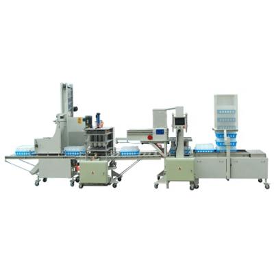 China machinery & New Equipment Design Mushroom Culture Bottle Filling Line for sale