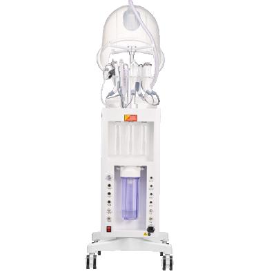 China Acne Treatment AYJ-Y19 (CE) Oxygen Jet Skin Water Therapy / Oxygen Hyperbaric Hyperbaric Chamber for sale