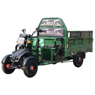 China Chang Li New Arrival 800kgs Big Loading Capacity Cargo Electric Tricycle Adults CLSKM-4 for sale