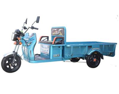 China 1000W high power adult electric cargo tricycle / cargo tricycle for sale for sale