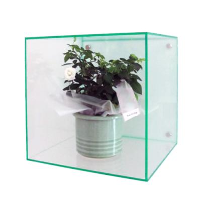 China Wholesale Green Clear Acrylic Cube Box Factory Display Wall Mounted Acrylic Display Box for sale