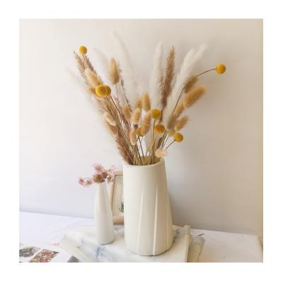 China 2021 Popular Natural Touch Wholesale Dried Color Bunny Tails Dried Original Color Natural Rabbit Tails Grass Wedding Decoration for sale