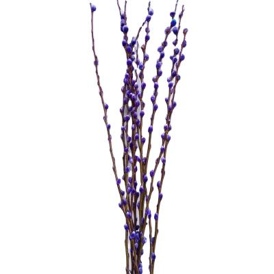 China Events Decoration Amazon Most Popular Salix Argyracea For Home Decoration And Wedding for sale