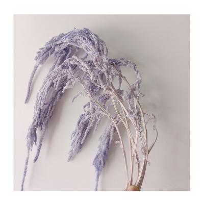 China 2021 Durable Real Touch Hot Selling Preservd Hang Amaranthus For Decoration Artificial Flower for sale