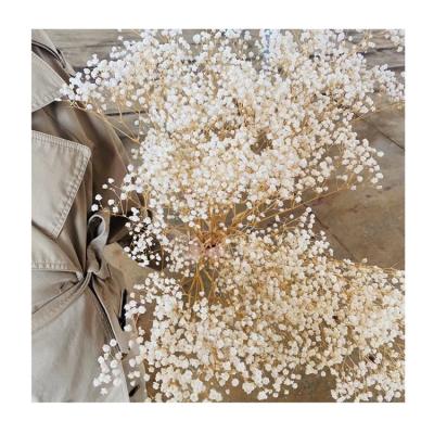 China 2021 Events Decoration Manufacturers Direct Selling Preserved Flower Preserved Babysbreath For Wedding Decoration for sale